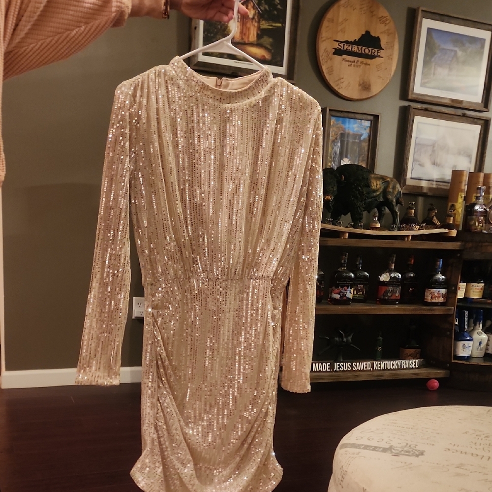 Sequin Long Sleeve Dress
